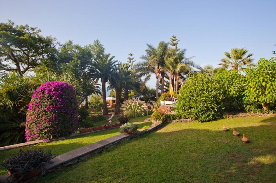 Finca Casa Vieja Santa Ursula (Tenerife) Ngoại thất bức ảnh